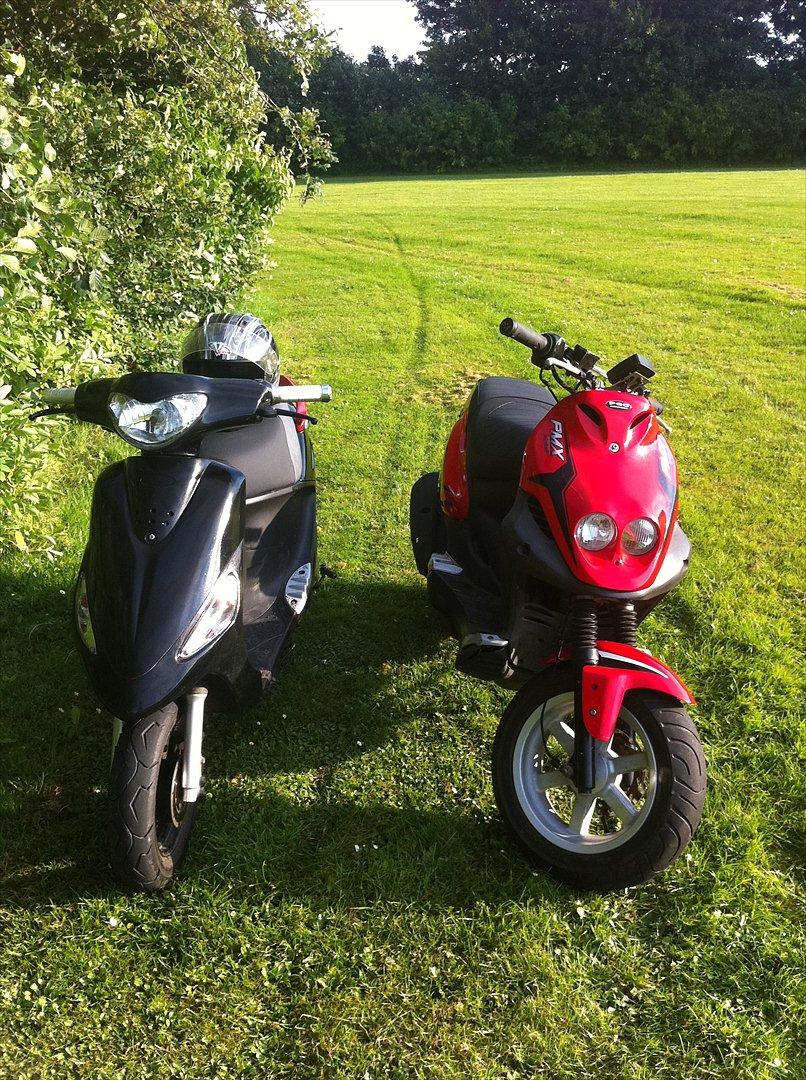 PGO pmx sport  billede 13