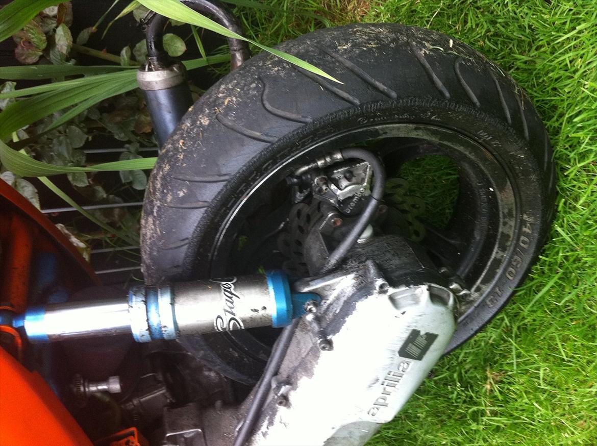 Aprilia SonRox TS T7 billede 7