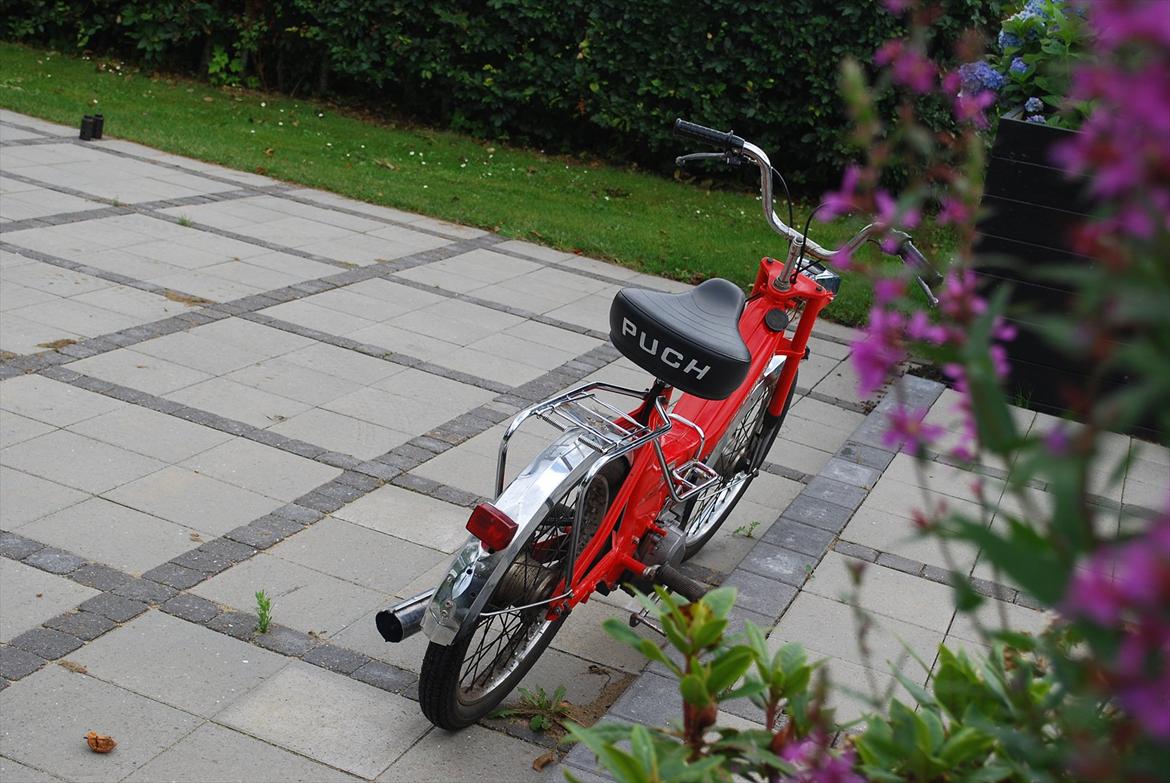 Puch maxi billede 2