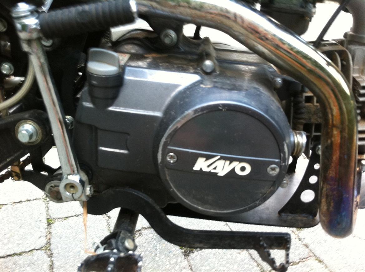 Kayo KLX - 125 ccm Limited Edition [tidligere maskine] billede 4
