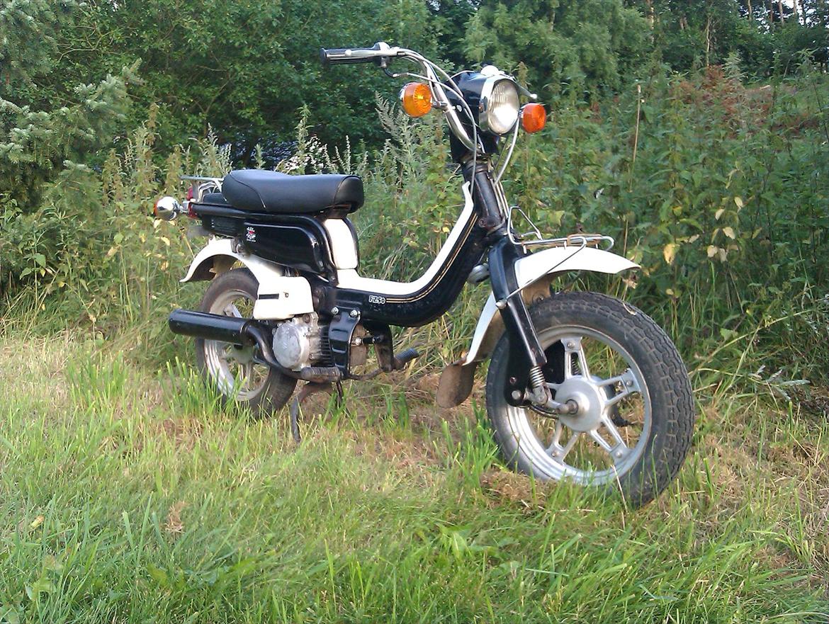 Suzuki fz50 billede 1