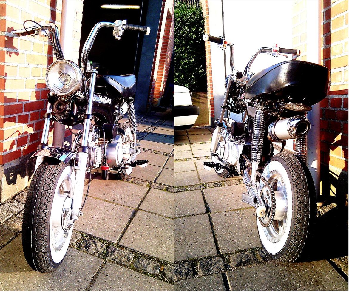 Skyteam Dax 110cc Solgt billede 2