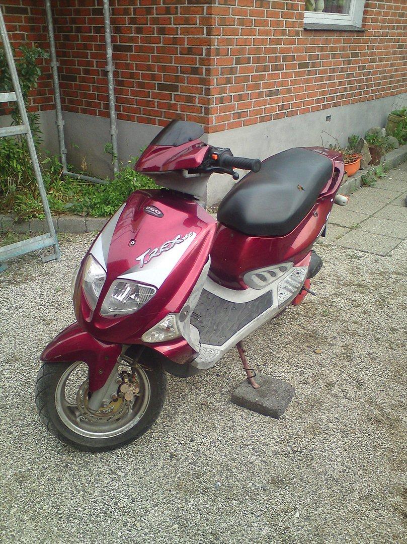 PGO trex 50  billede 1