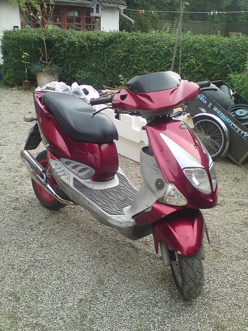 PGO trex 50  billede 4