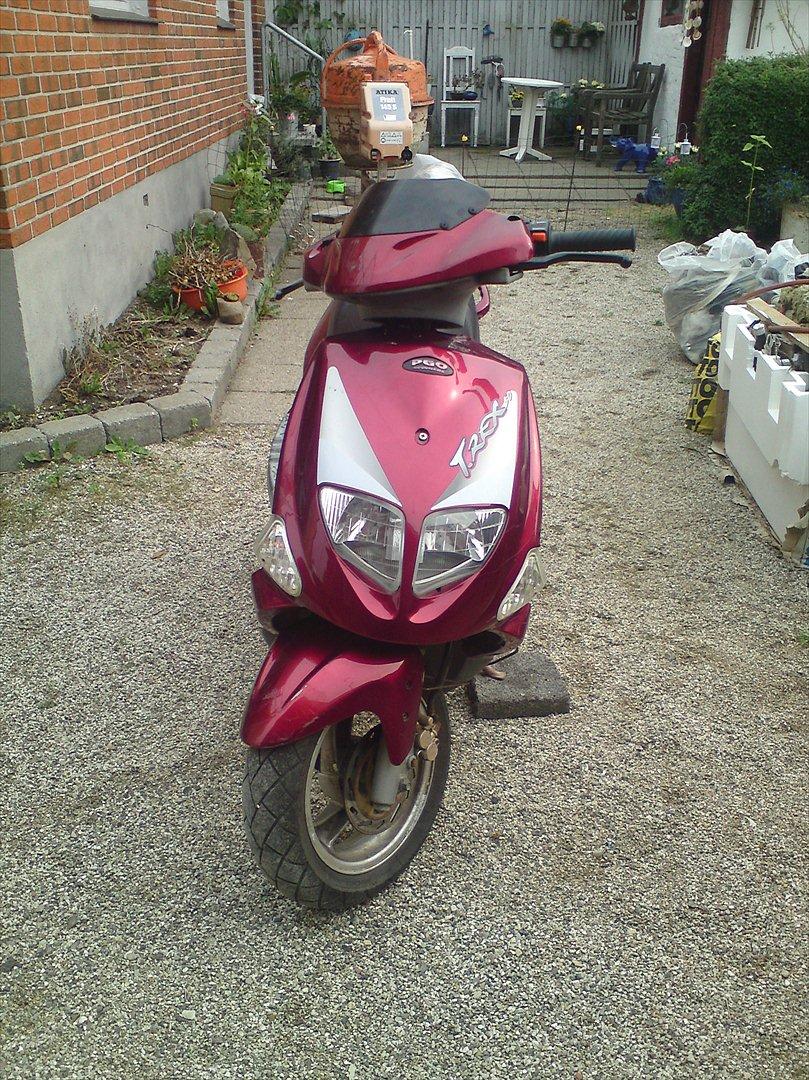 PGO trex 50  billede 11