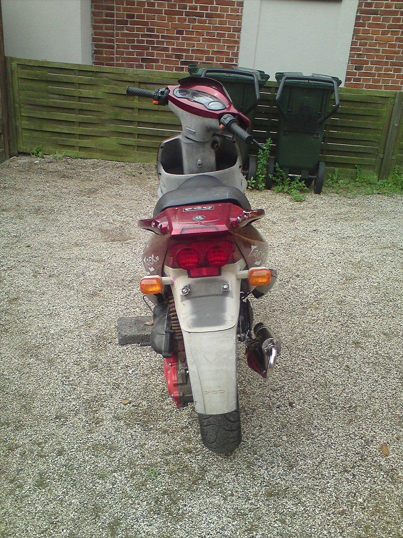 PGO trex 50  billede 13