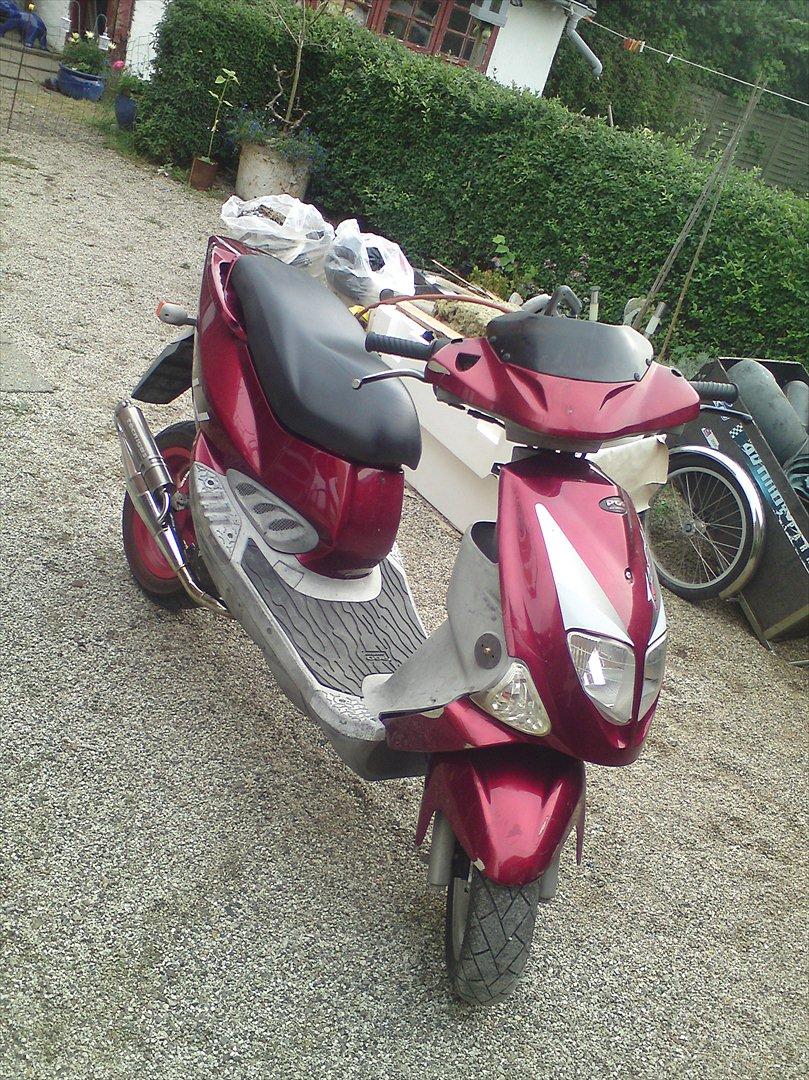 PGO trex 50  billede 15