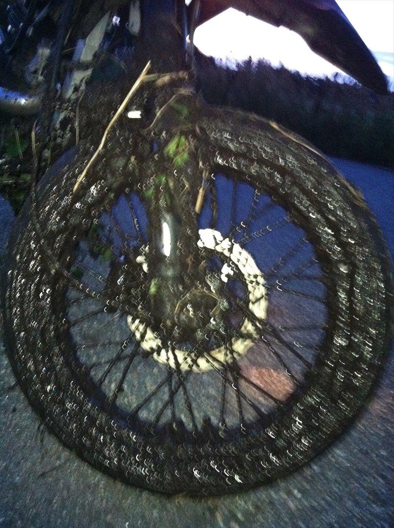 Apollo Orion   Aragon RS 30 ( smadret ) - efter en gang mark race :D billede 18