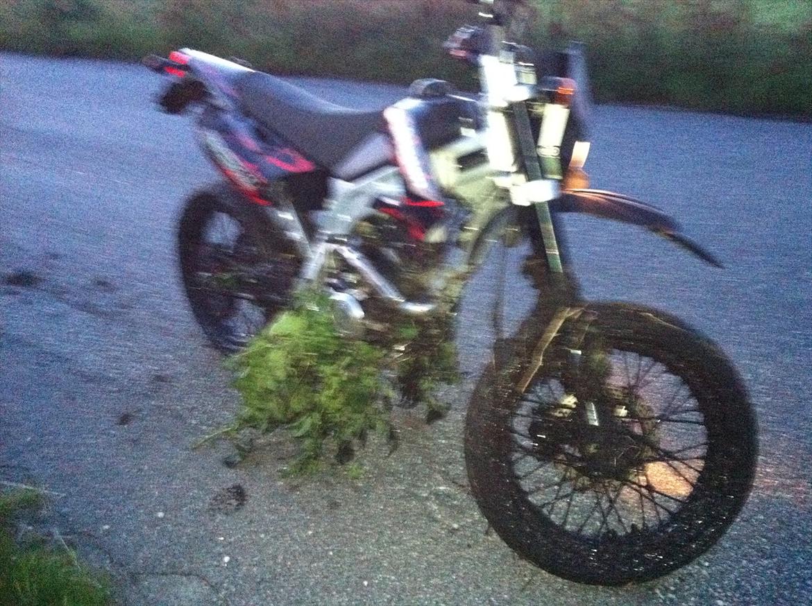 Apollo Orion   Aragon RS 30 ( smadret ) - efter en gang mark race :D billede 19