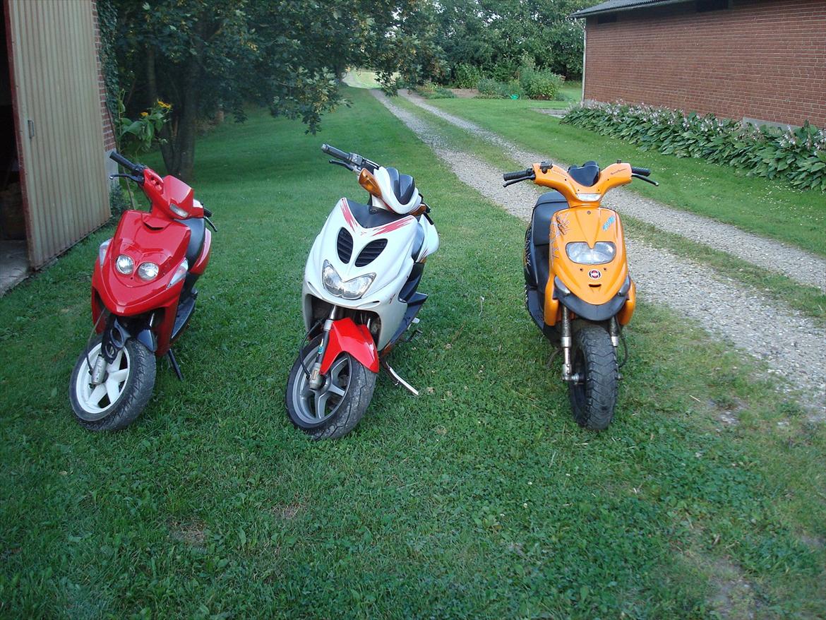 Gilera stalker  - min bws, min brors aerox og min stalker  billede 7