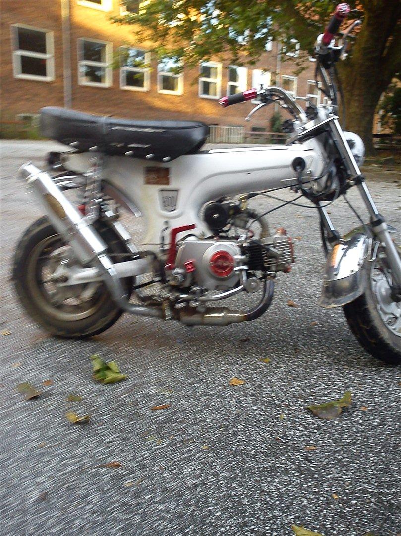 Skyteam Dax billede 2