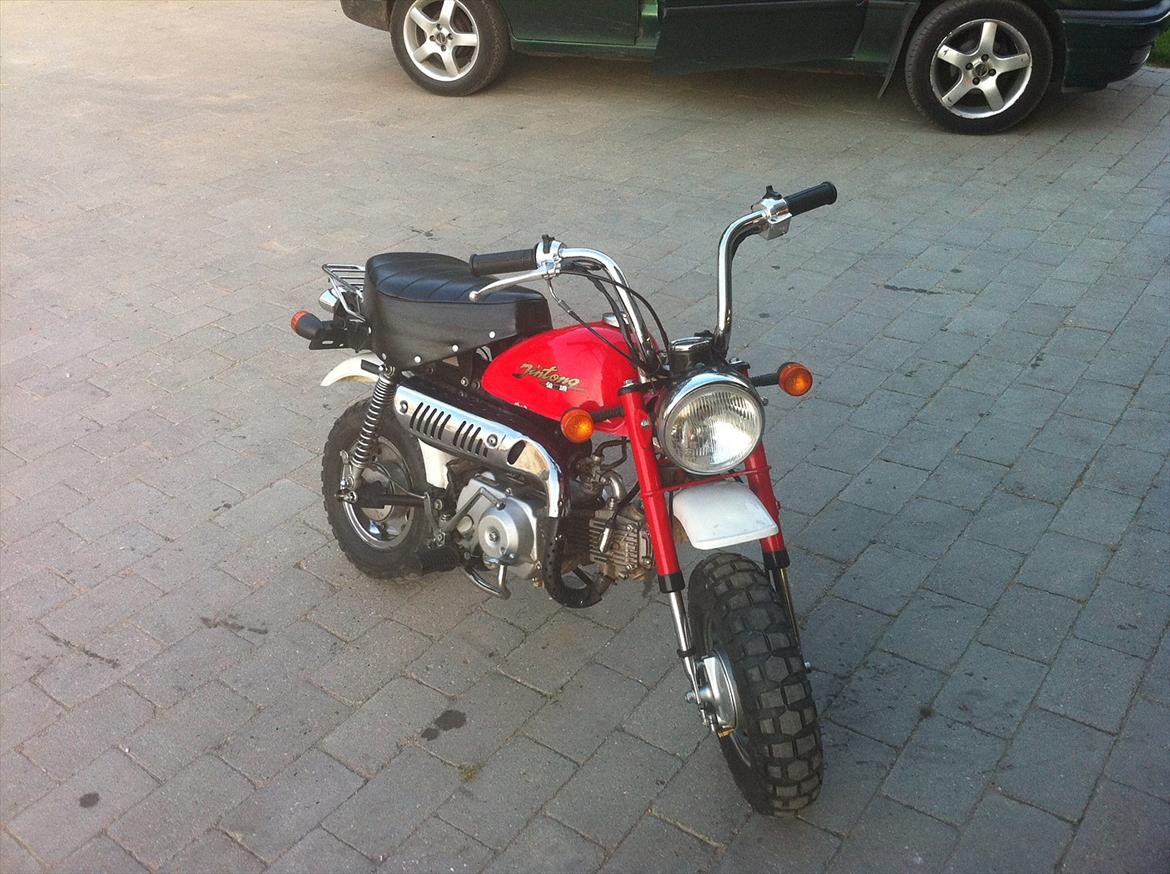 Jincheng monkey  billede 1