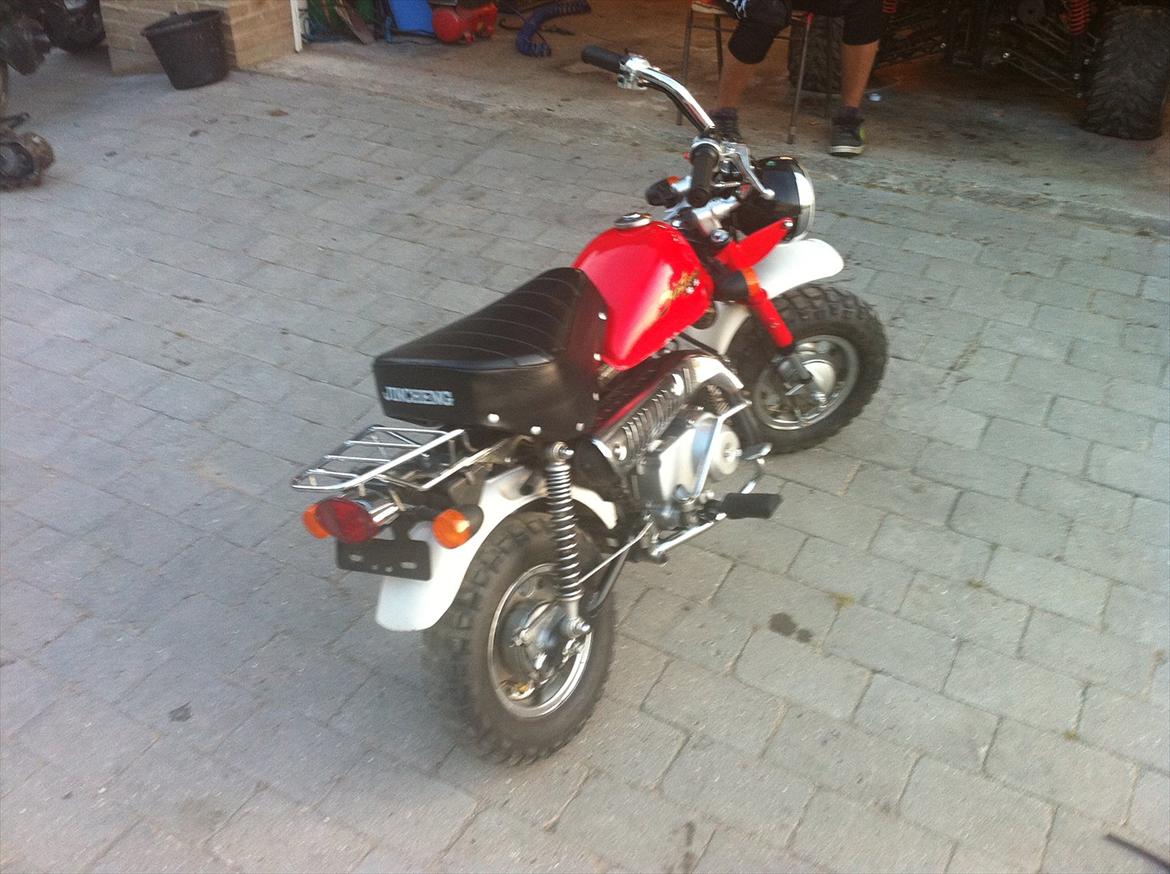 Jincheng monkey  billede 2