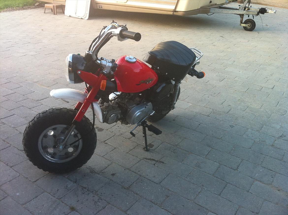 Jincheng monkey  billede 3
