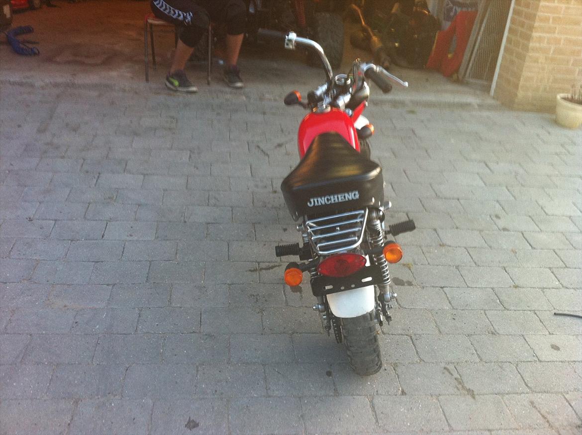 Jincheng monkey  billede 4