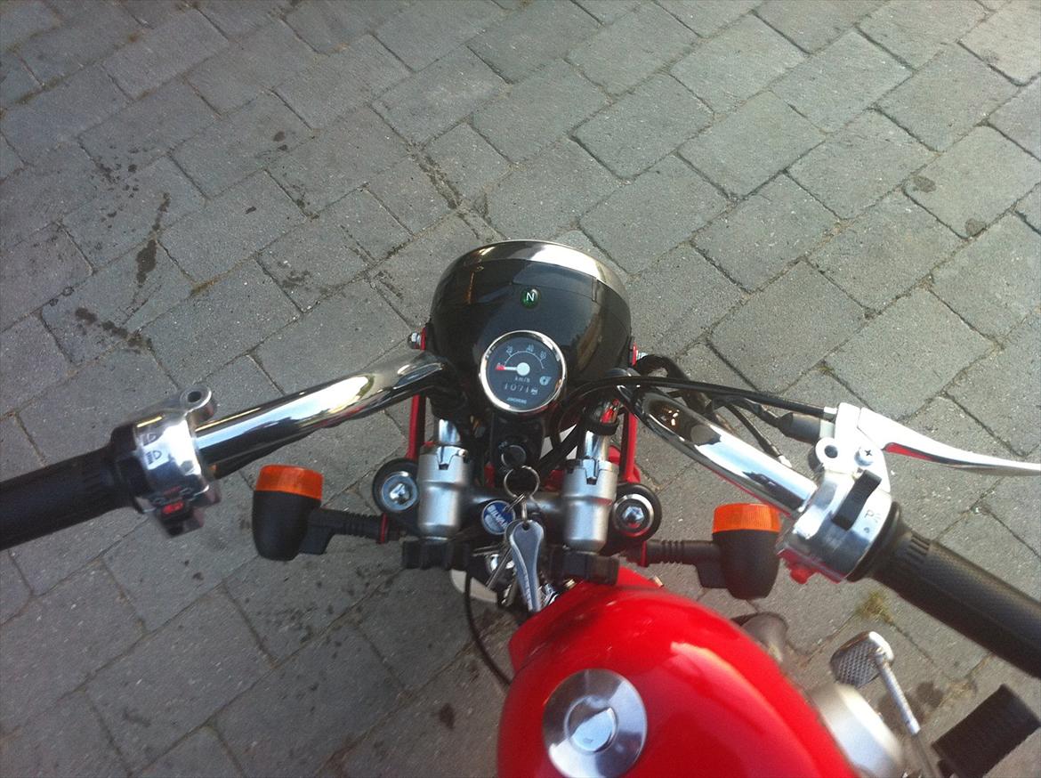 Jincheng monkey  billede 5