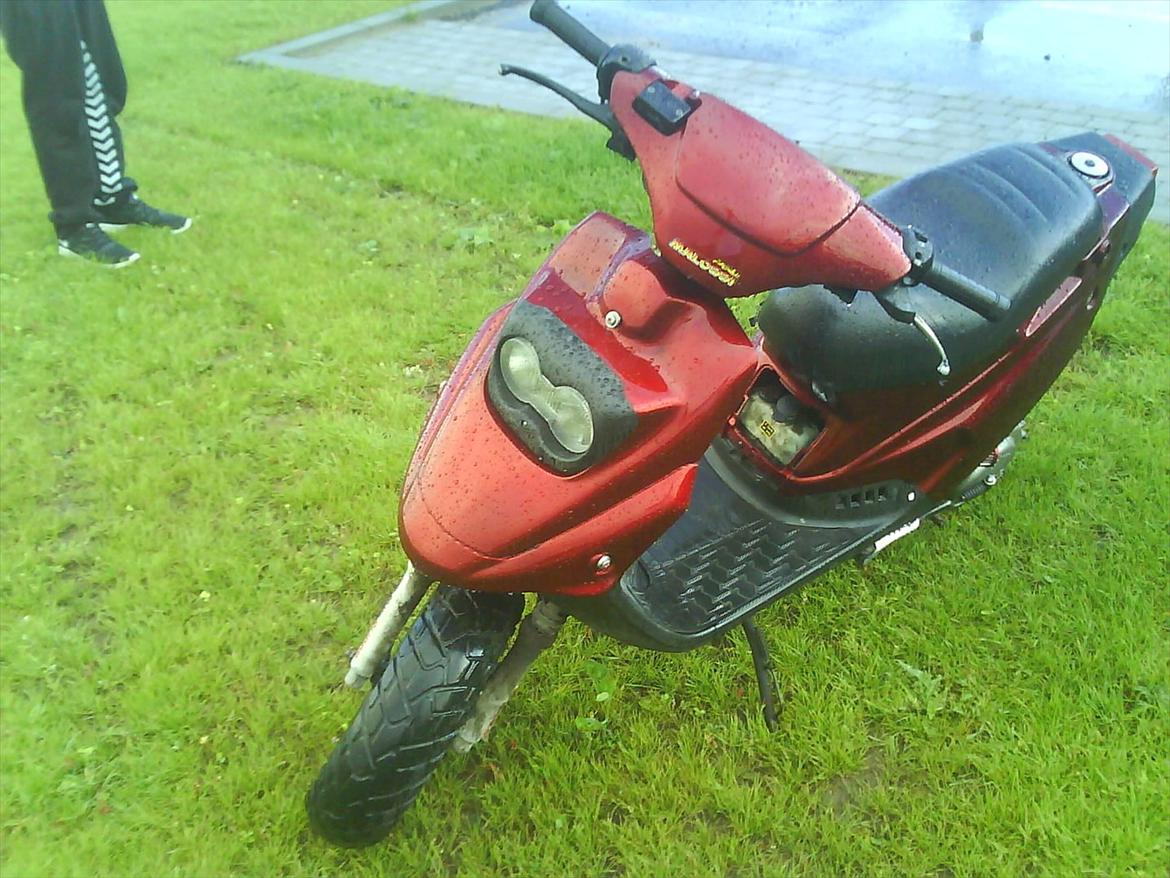 PGO Hot 50 billede 3