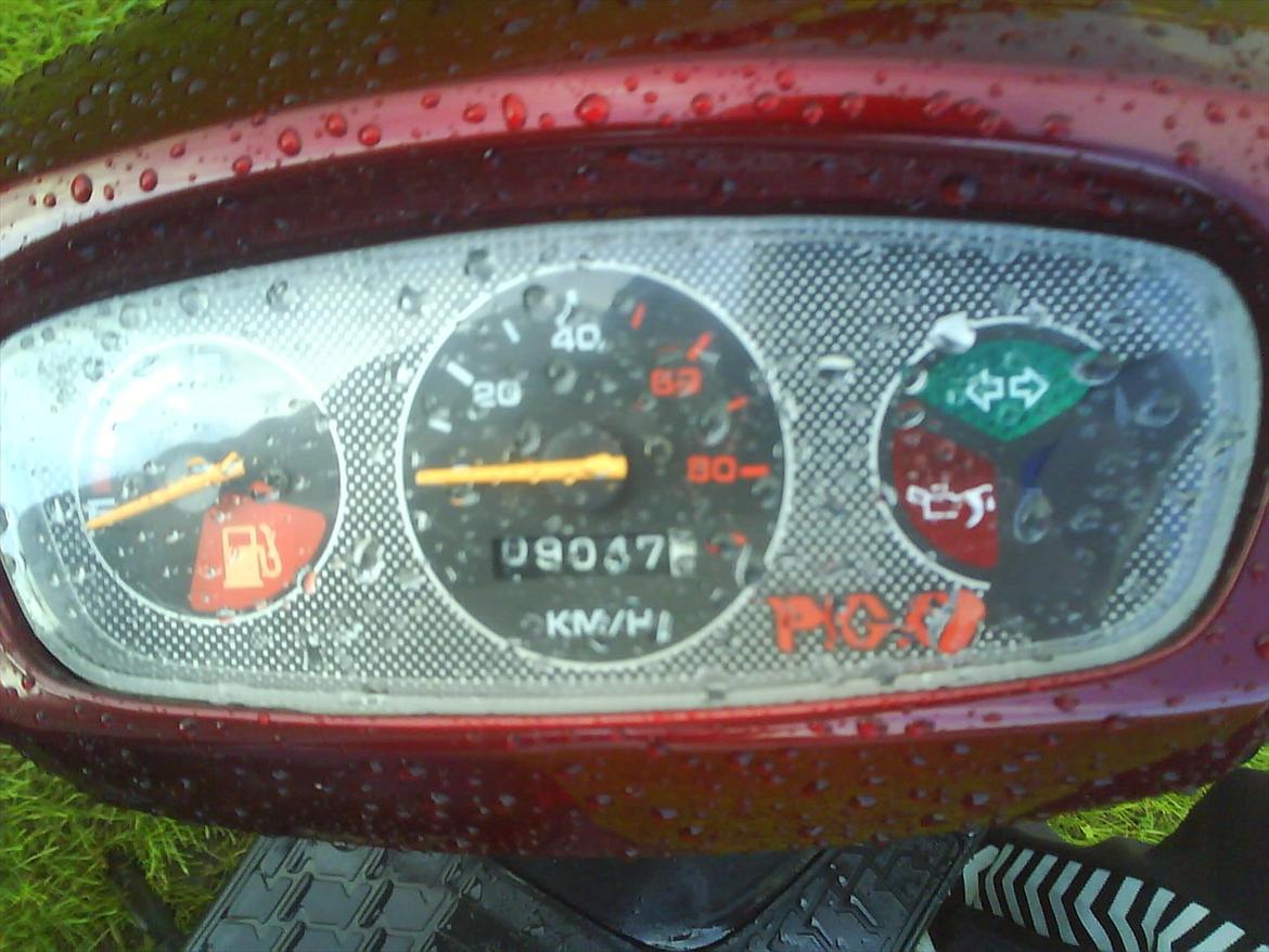 PGO Hot 50 billede 6