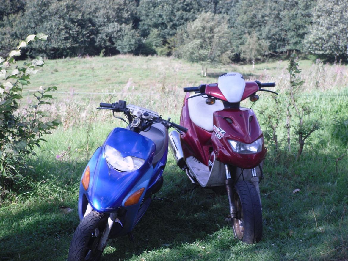 Honda sfx repsol (byttet til fz50) billede 12