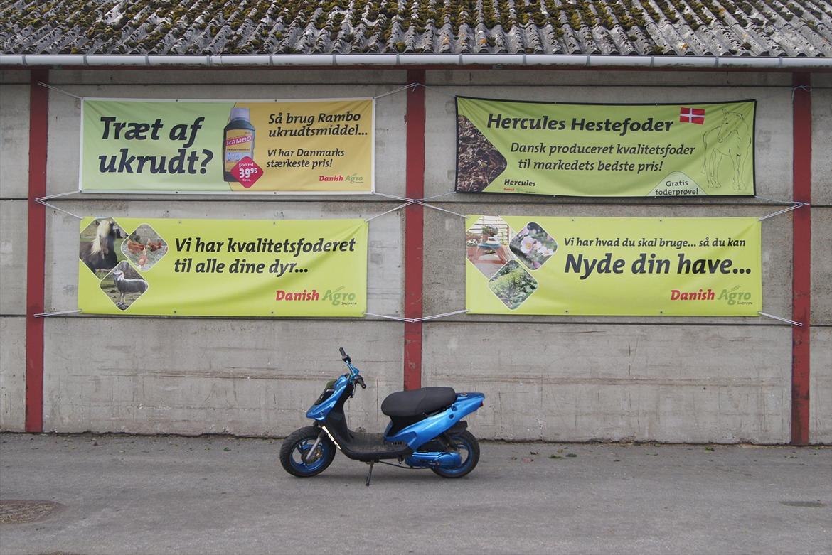 PGO Hot 50! (før crash) billede 14