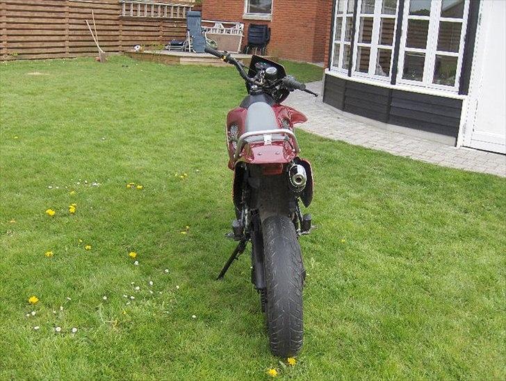 Suzuki SMX billede 5