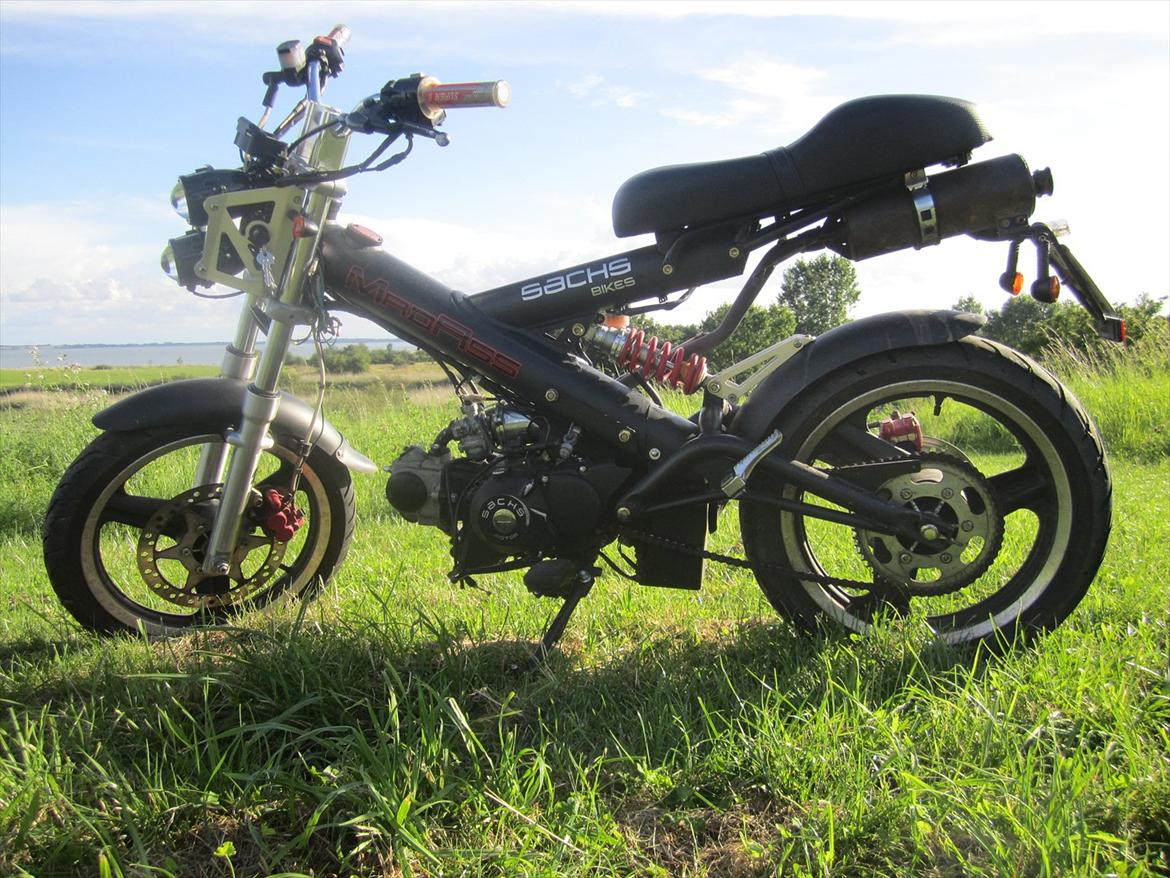 Sachs madass billede 1