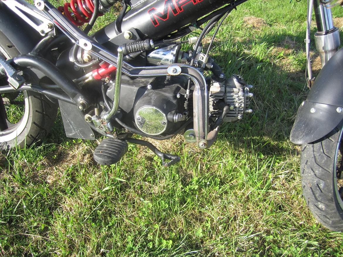 Sachs madass billede 4