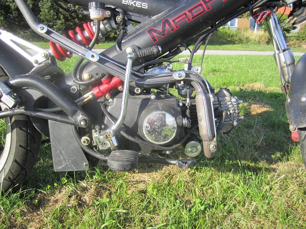 Sachs madass billede 6