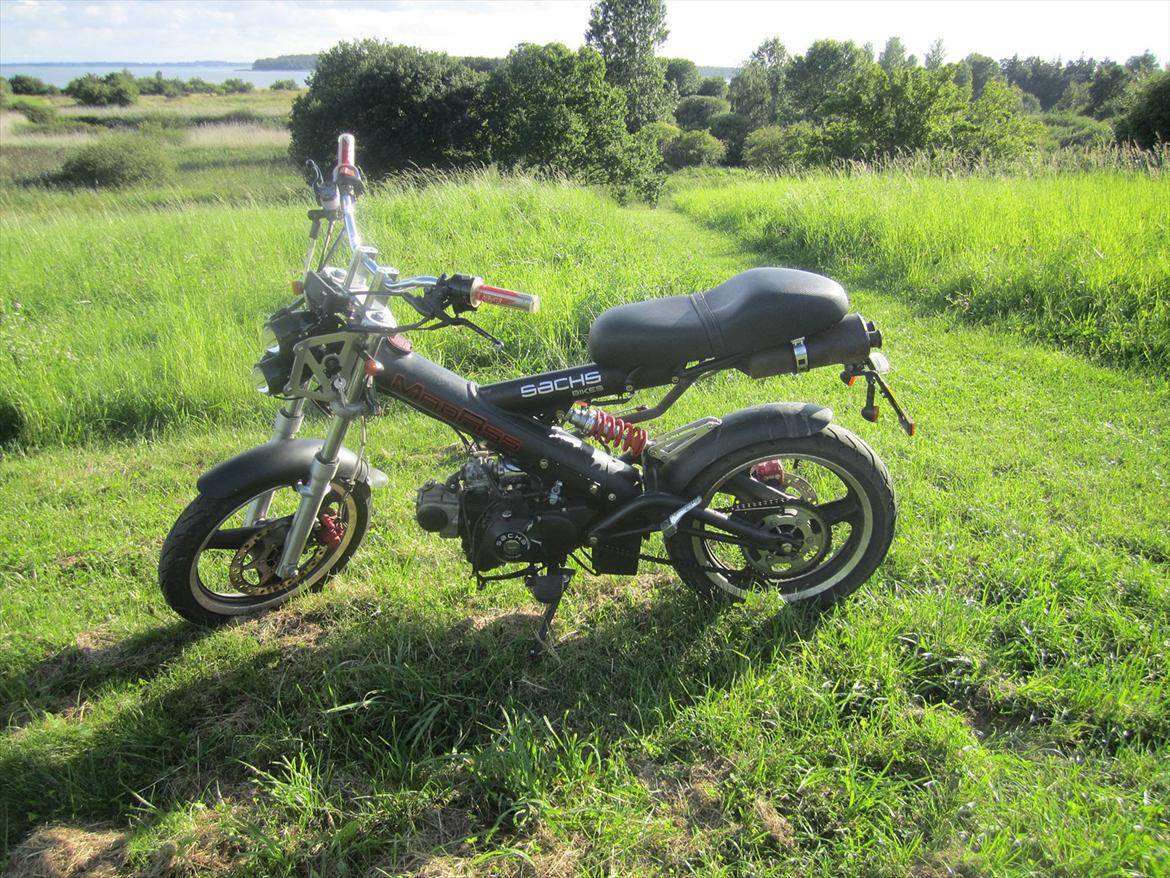 Sachs madass billede 7