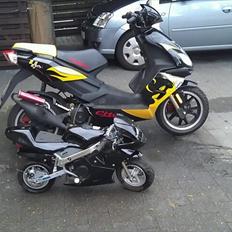 MiniBike 49cc