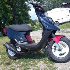 PGO Big Max