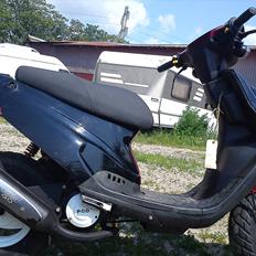 PGO Big Max