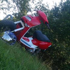 Aprilia Rally - ( SÆLGES & BYTTES ) 