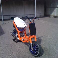 Gilera Stalker Team Speed DD