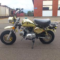 Zhenhua Monkey SR-50