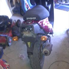 PGO BIG MAX