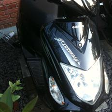 Giantco G-Boddy ##SOLGT##