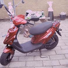 PGO Big Max