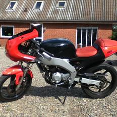 Aprilia RS50 (PROJEKT)