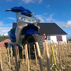 Peugeot Speedfight 2