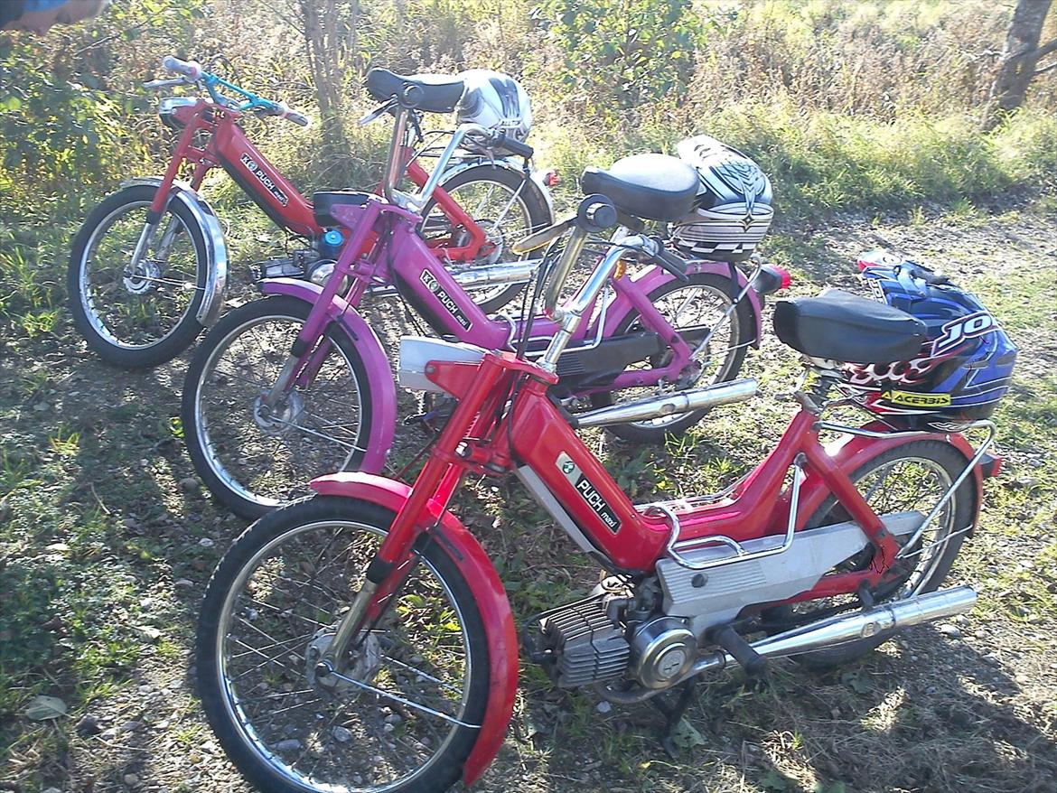 Puch Maxi billede 5