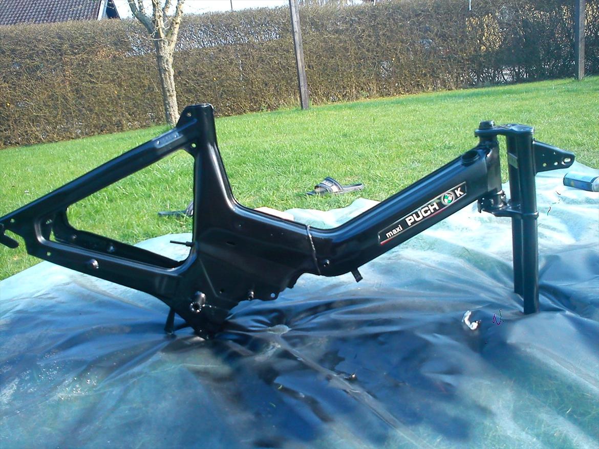 Puch Maxi billede 10