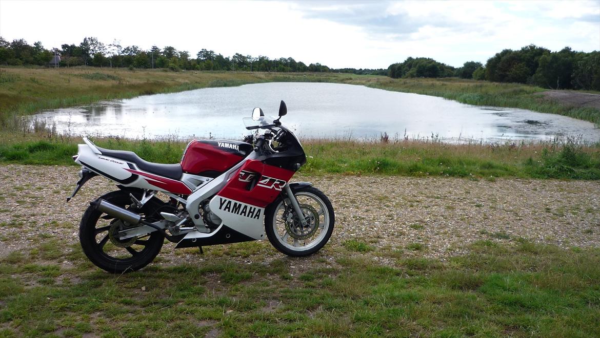 Yamaha Tzr 50 LC ÐÐ billede 20