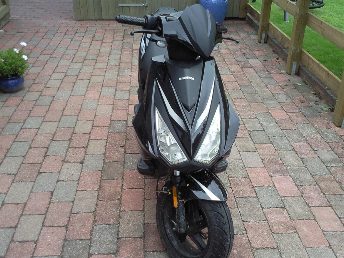 Giantco Lambros billede 1