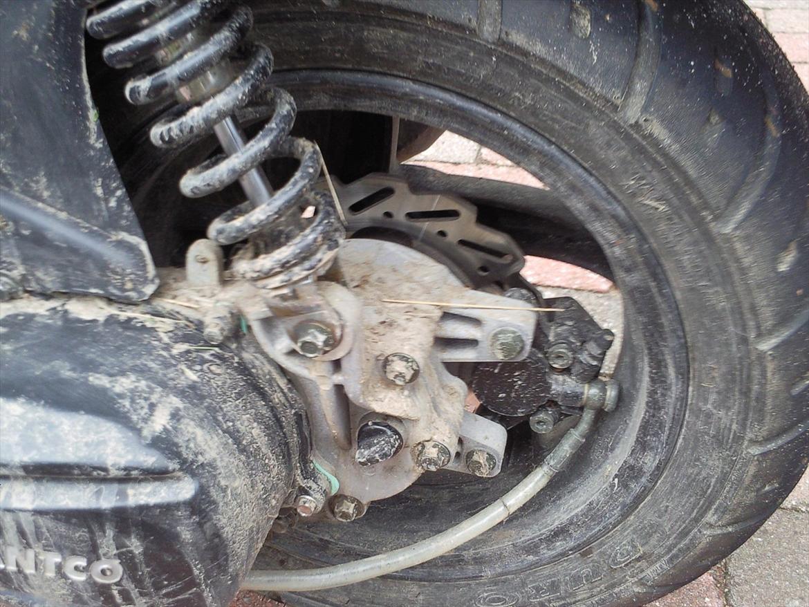 Giantco Lambros billede 7