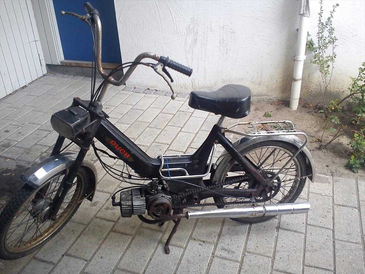 Puch Maxi P (E 50) #FØR# billede 15