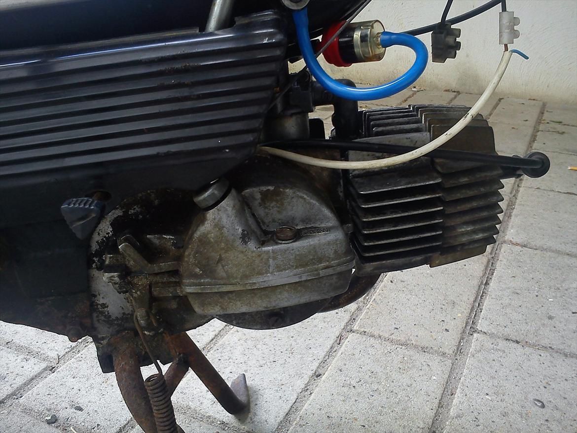 Puch Maxi P (E 50) #FØR# billede 17