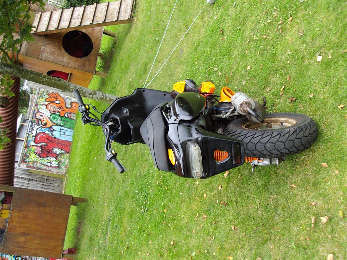 PGO PMX No Fear **BYTTET** billede 10