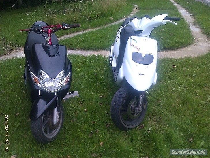 Gilera Stalker * byttet * billede 8