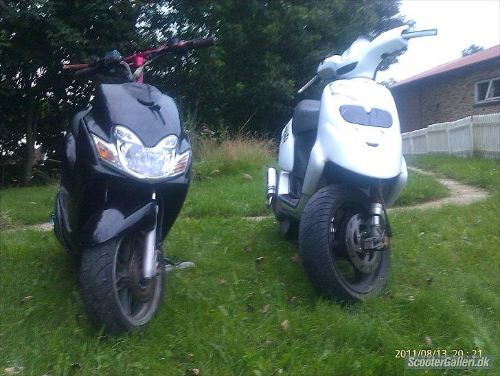 Gilera Stalker * byttet * billede 9